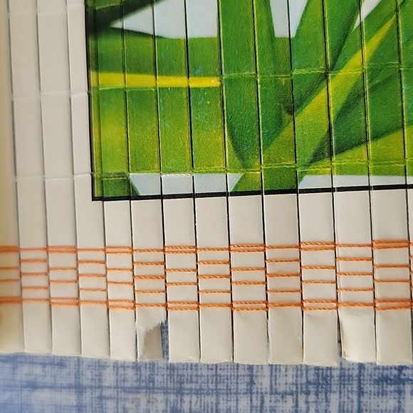 2021 Panda Calendar From Ming Garden New Orleans 2021. Reusable In 2027 Or 2038 - Picture 12 of 14